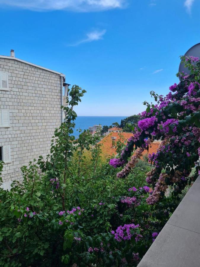 Apartments Deranja II Ντουμπρόβνικ Εξωτερικό φωτογραφία